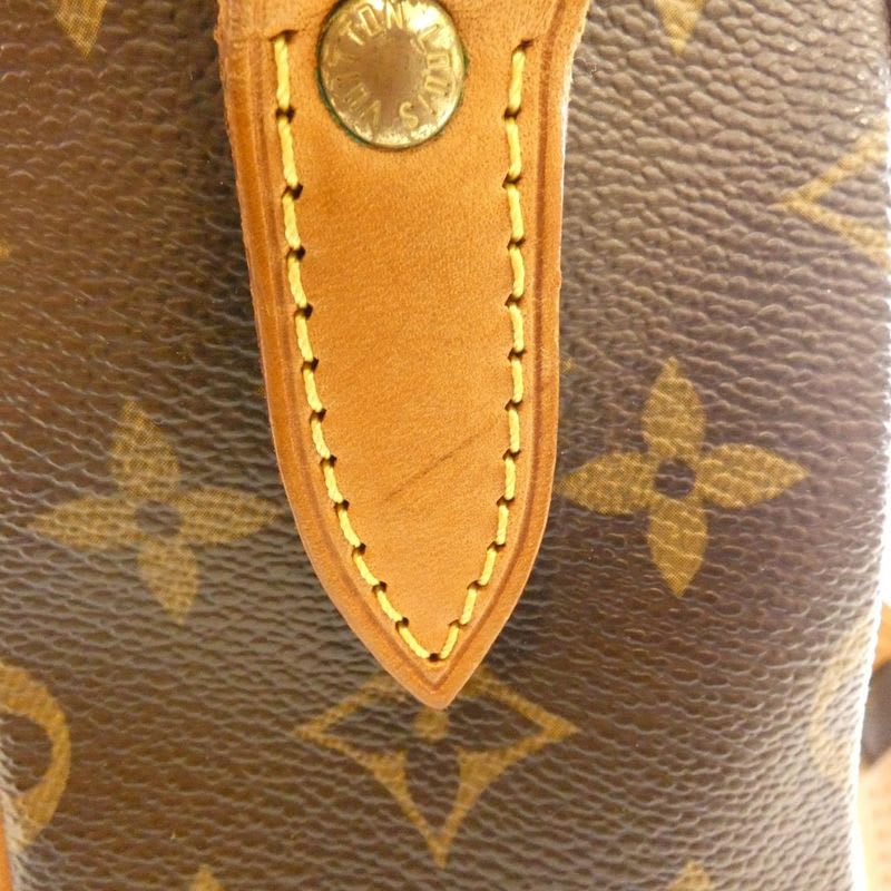 Louis Vuitton Monogram Nile Shoulder Bag — view 7
