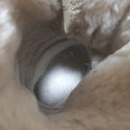 Chanel Sports Coco Mark Shearling Boots Size 36 Gray — view 7