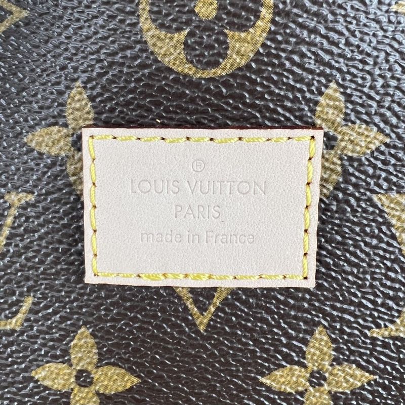 Louis Vuitton 2-Way Cindy Shaman Camera Messenger Shoulder Bag 2014 — view 6