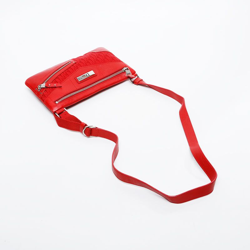 Dior Shoulder Bag Trotter Street Chic — view 9