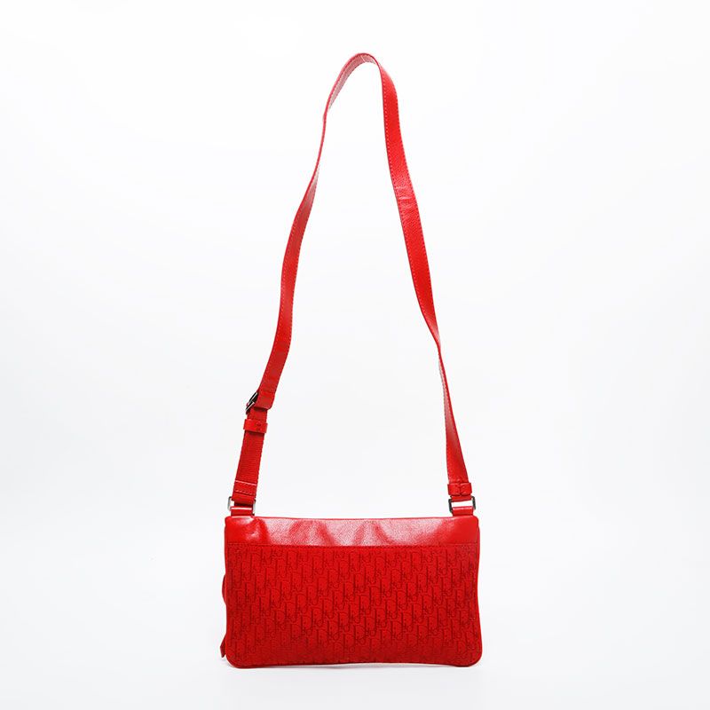 Dior Shoulder Bag Trotter Street Chic — view 2