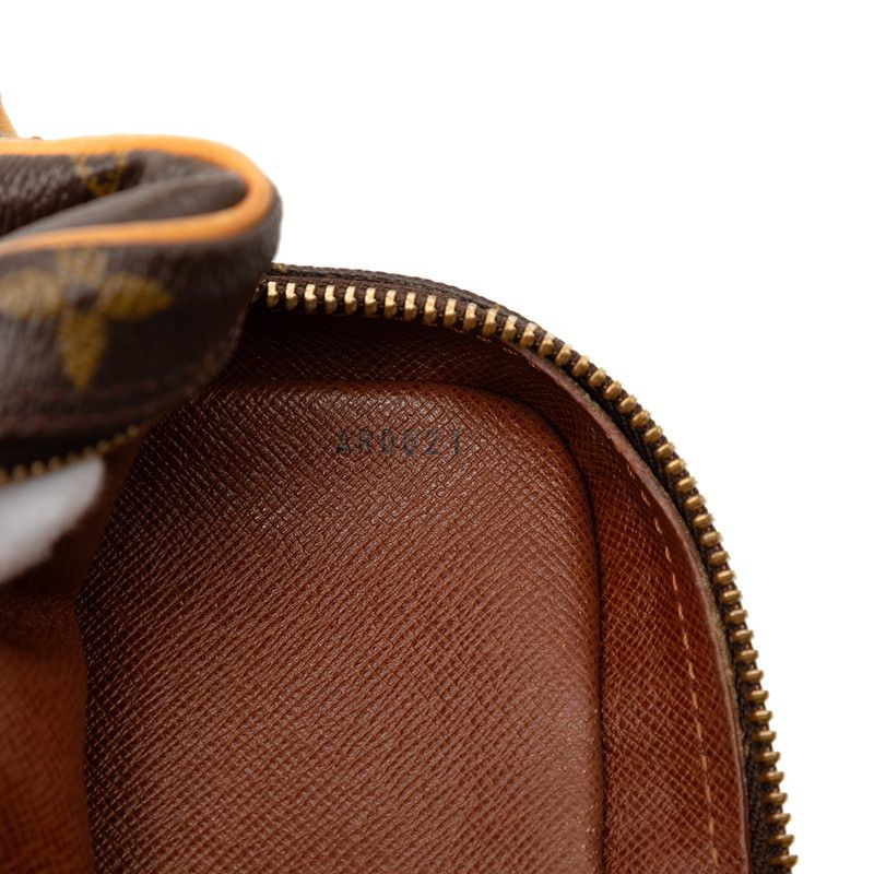 Louis Vuitton Monogram Amazon Crossbody Bag Brown Leather — view 7