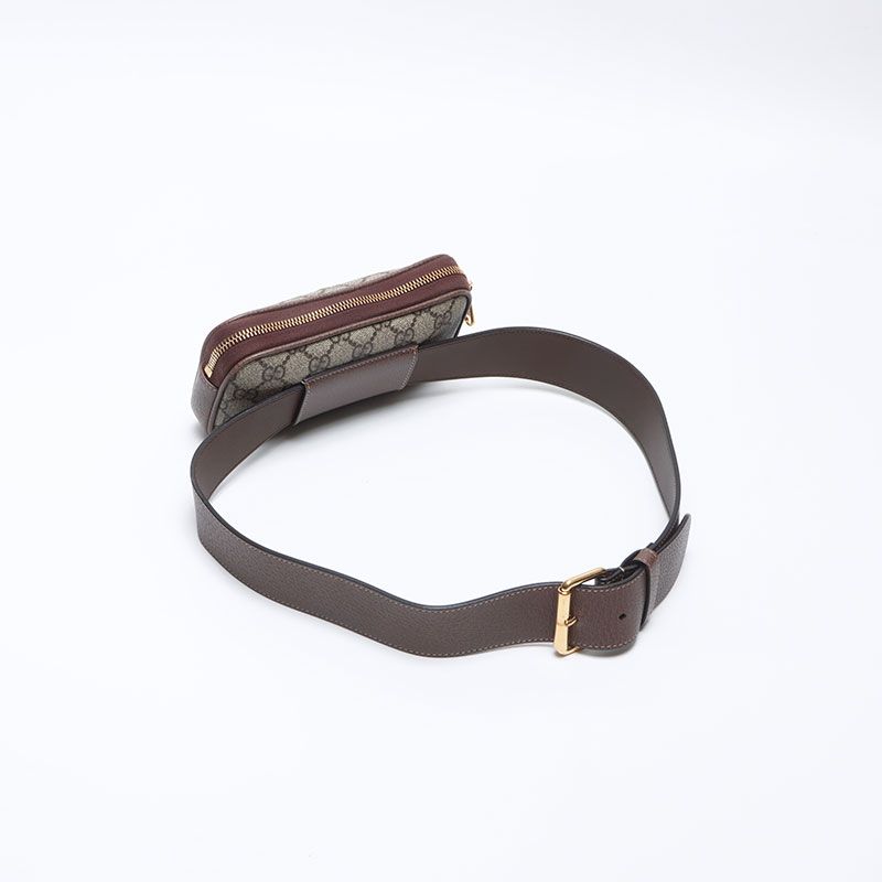 Gucci Shoulder Bag Ophidia Mini — view 9