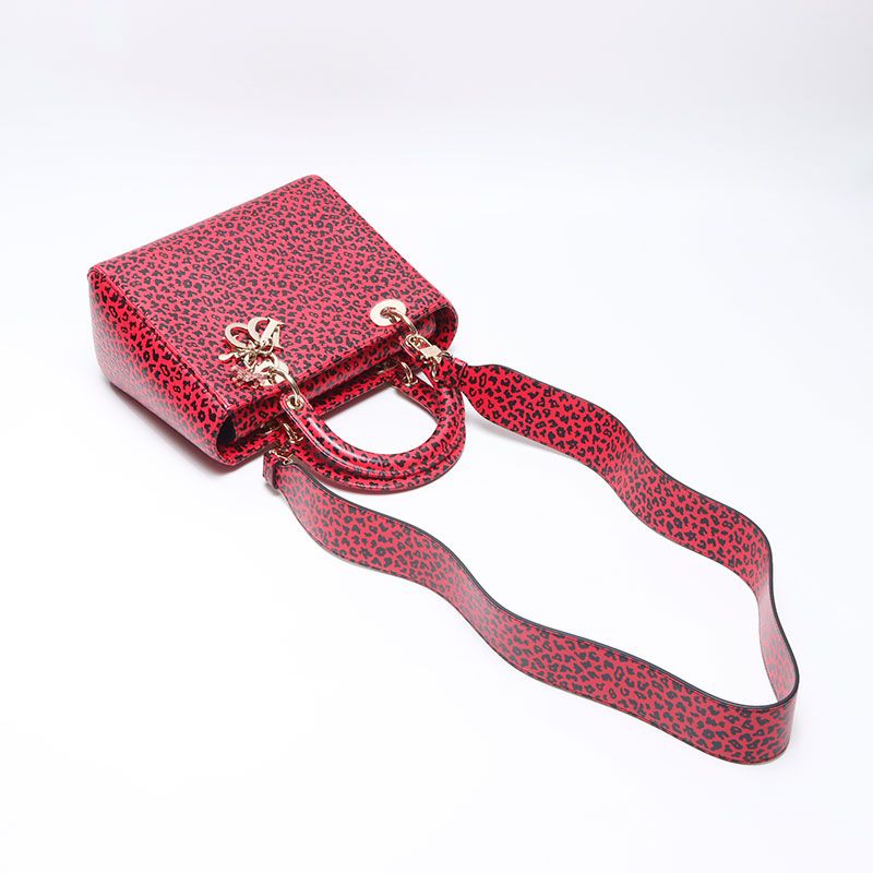 Dior Handbag Leopard Print 2-Way — view 9