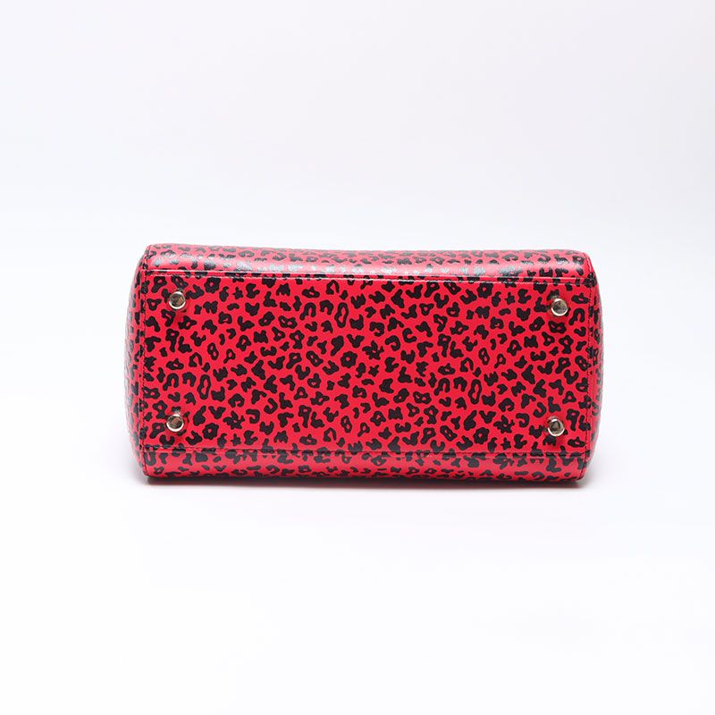 Dior Handbag Leopard Print 2-Way — view 7