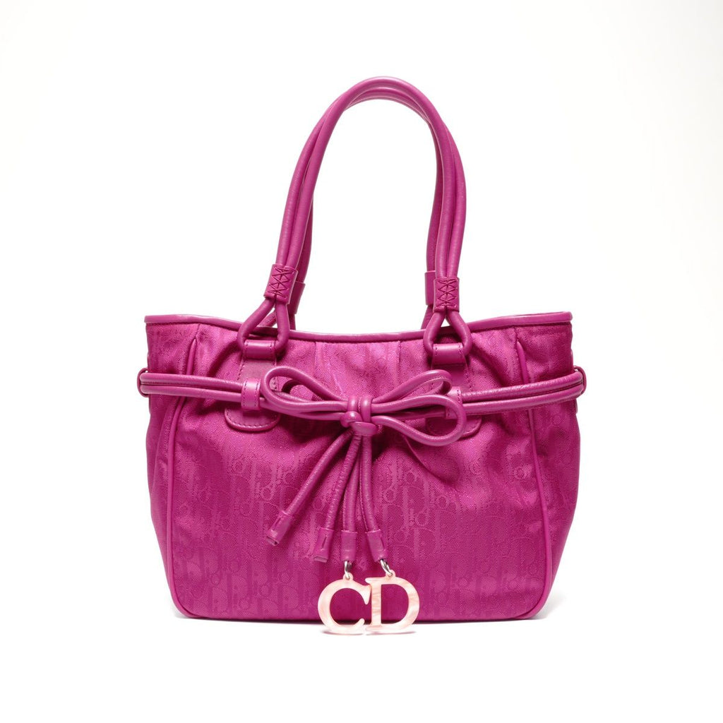 Dior Handbag la Oblique Canvas Trotter — view 2