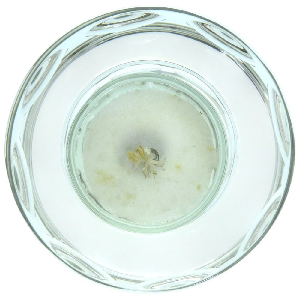 Hermes Candle Set Saint Louis Pour Glass Clear — view 8