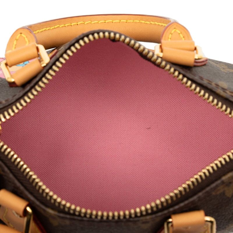Louis Vuitton Monogram Nano Speedy Vivienne 2-Way Shoulder Bag — view 4