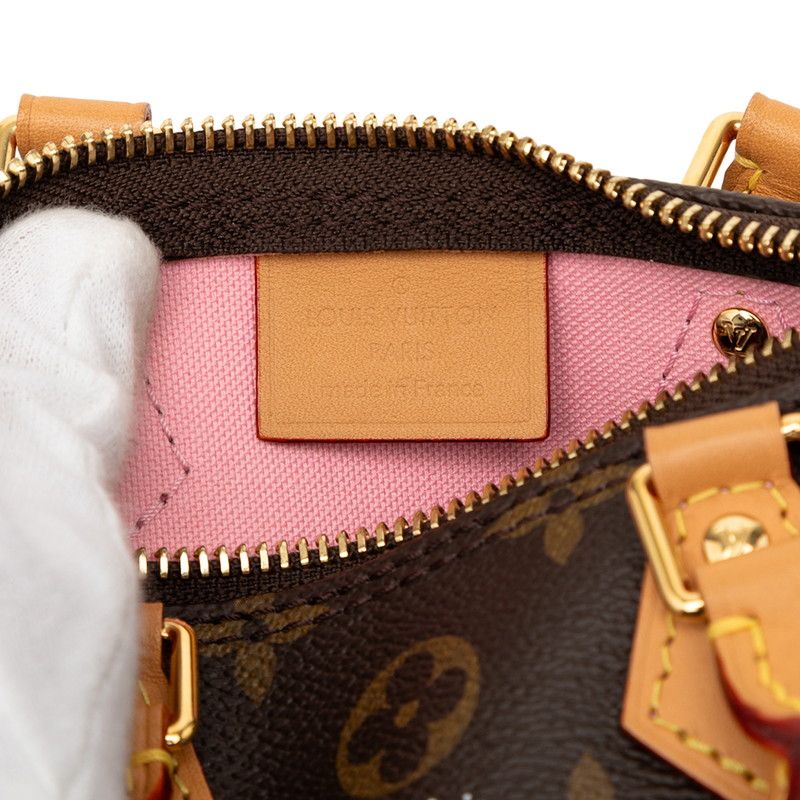 Louis Vuitton Monogram Nano Speedy Vivienne 2-Way Shoulder Bag — view 5