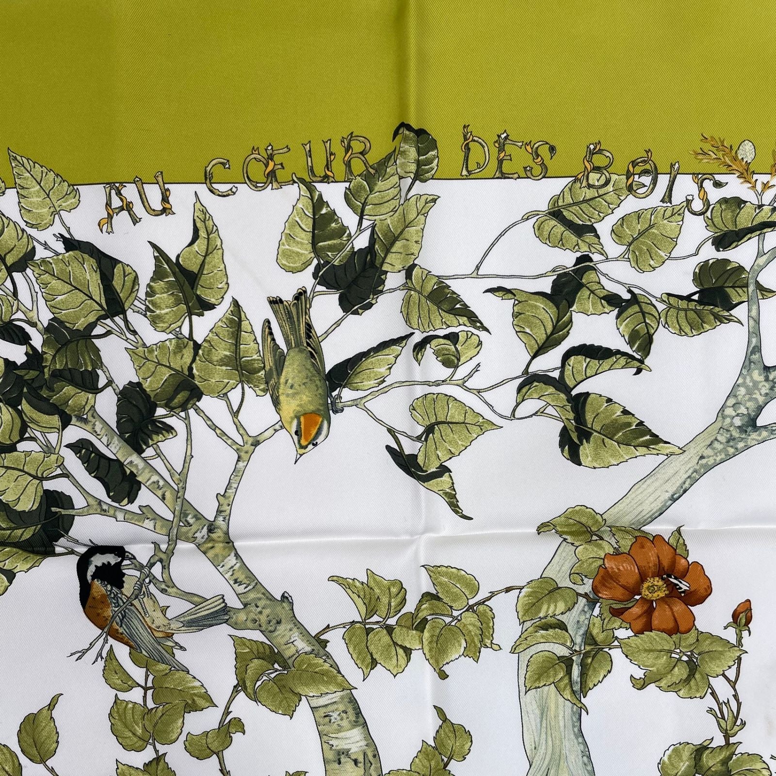 Hermes Carre 90 Scarf AU Coeur Des Bois in the Forest 100% Silk Green — view 6