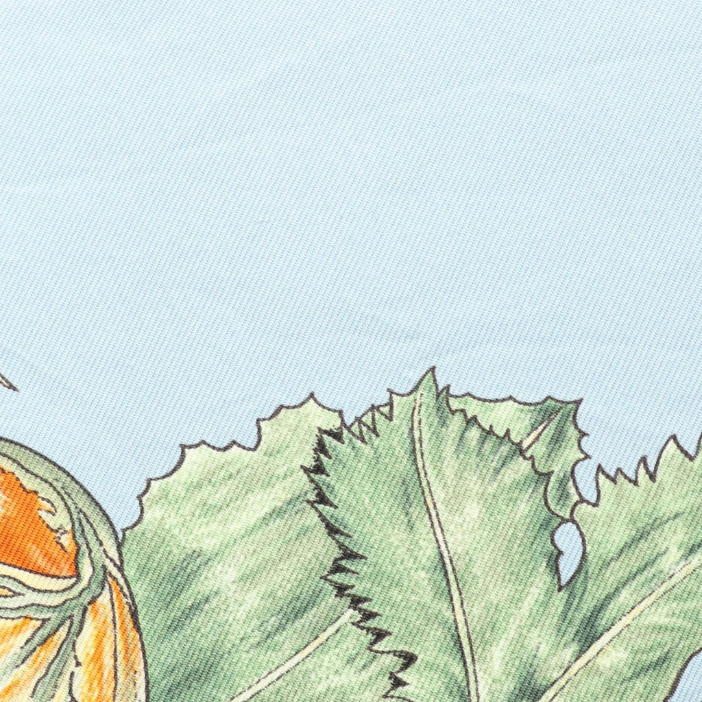 Hermes Scarf Carre 90 Citrouilles ET Coloquintes Silk — view 5