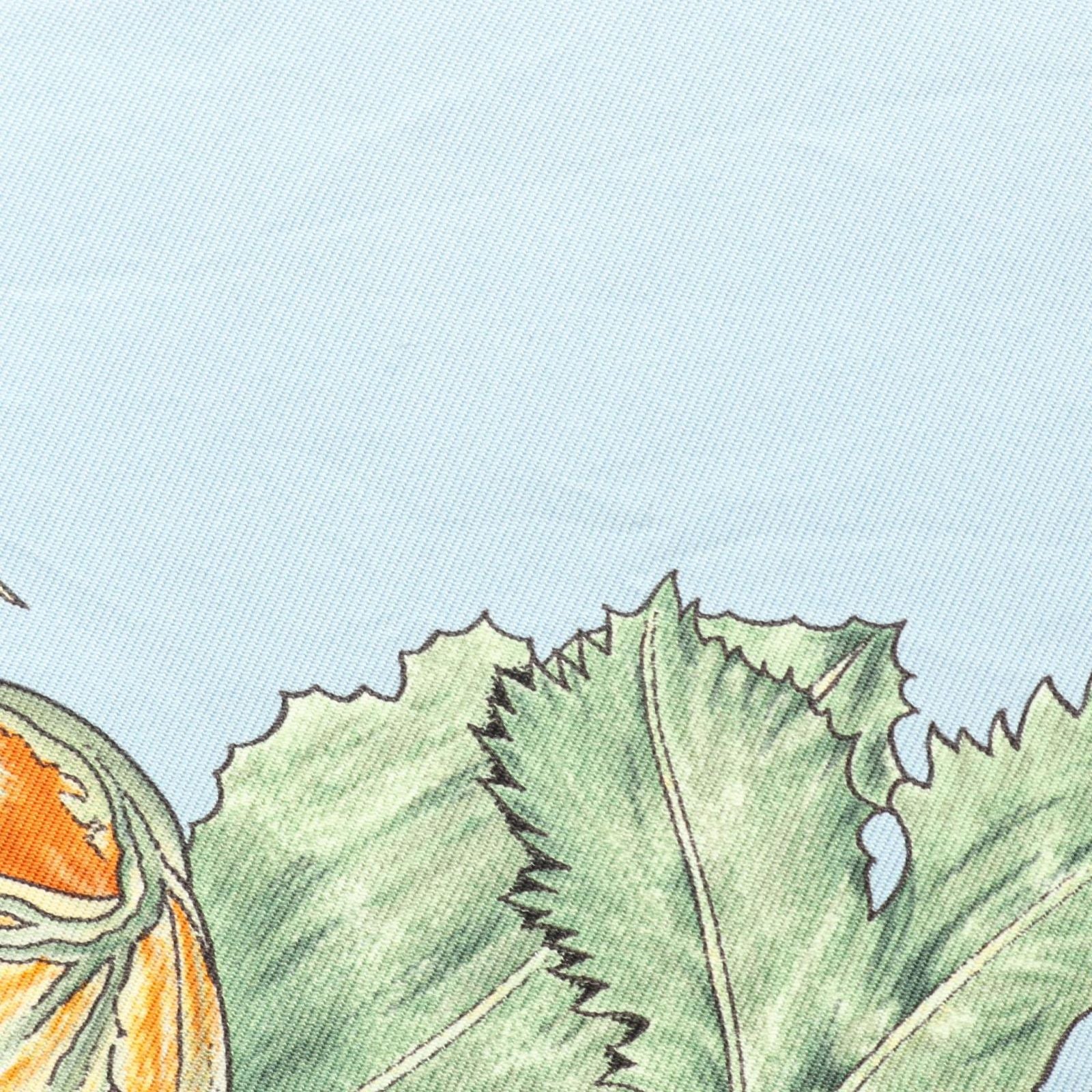 Hermes Scarf Carre 90 Citrouilles ET Coloquintes Silk — view 5
