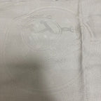 Hermes New Bliss Cashmere Silk Shawl Greenage Gray — view 6