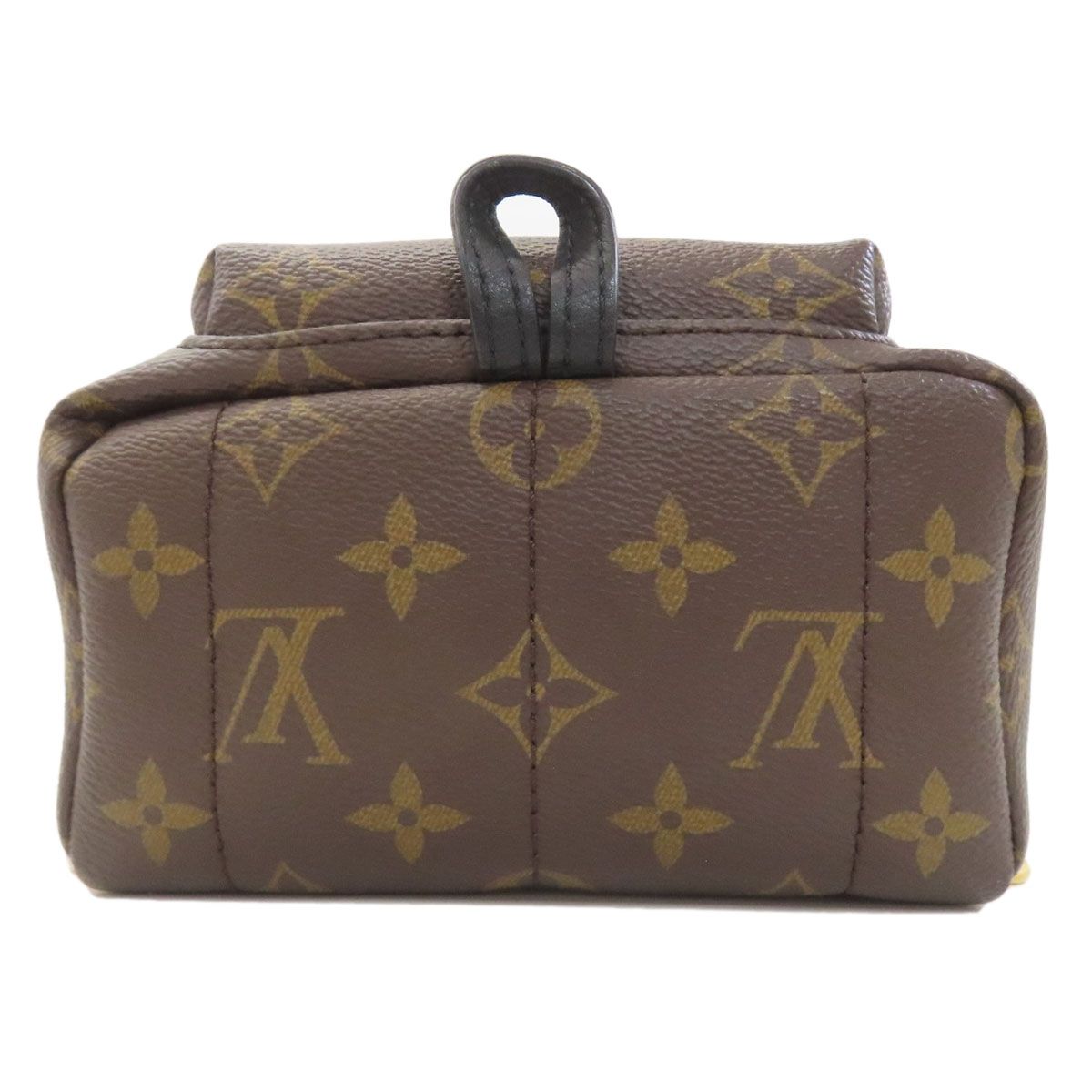 Louis Vuitton Palm Springs Mini Backpack — view 4