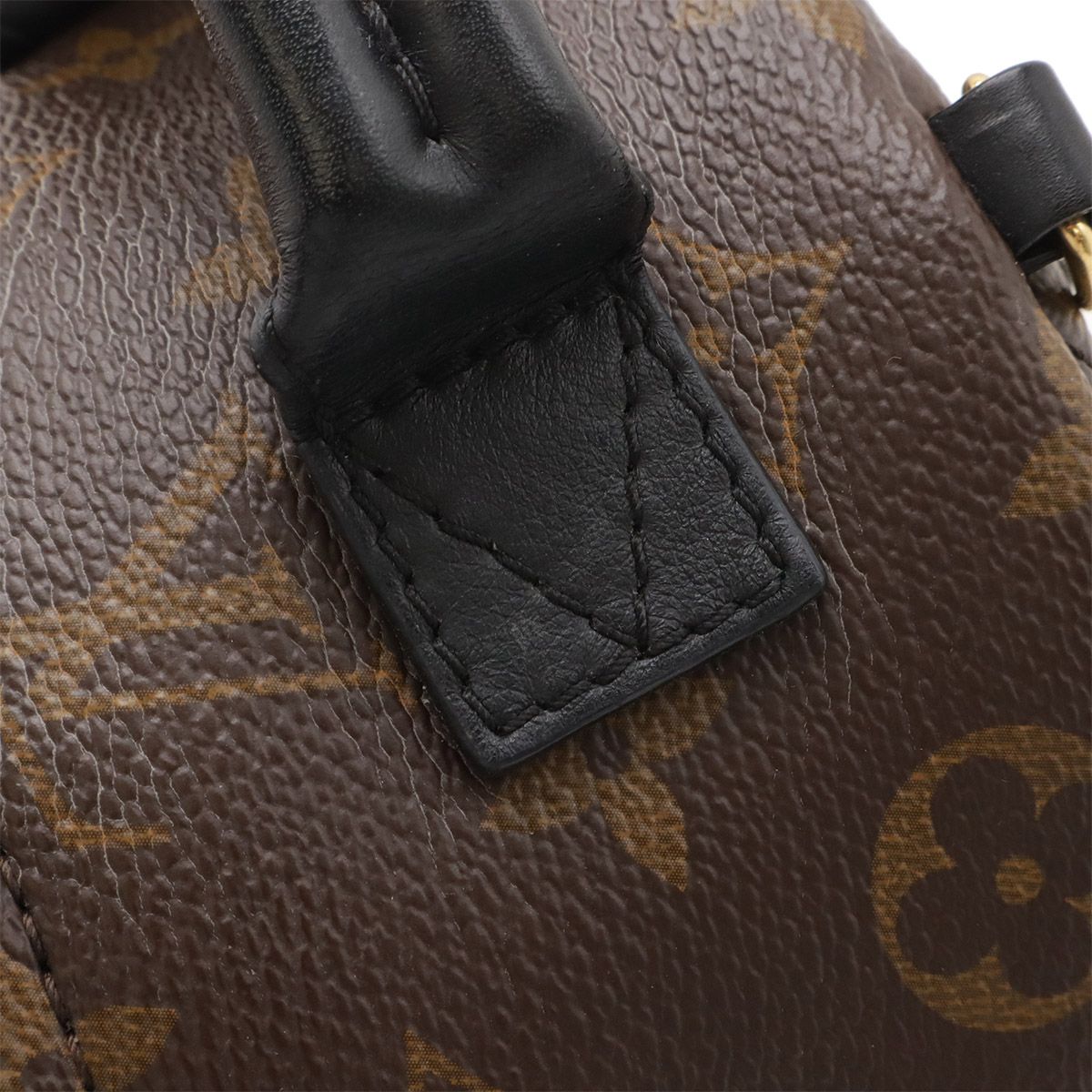 Louis Vuitton Monogram Palm Springs Backpack Mini — view 5