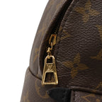 Louis Vuitton Monogram Palm Springs Backpack Mini — view 4