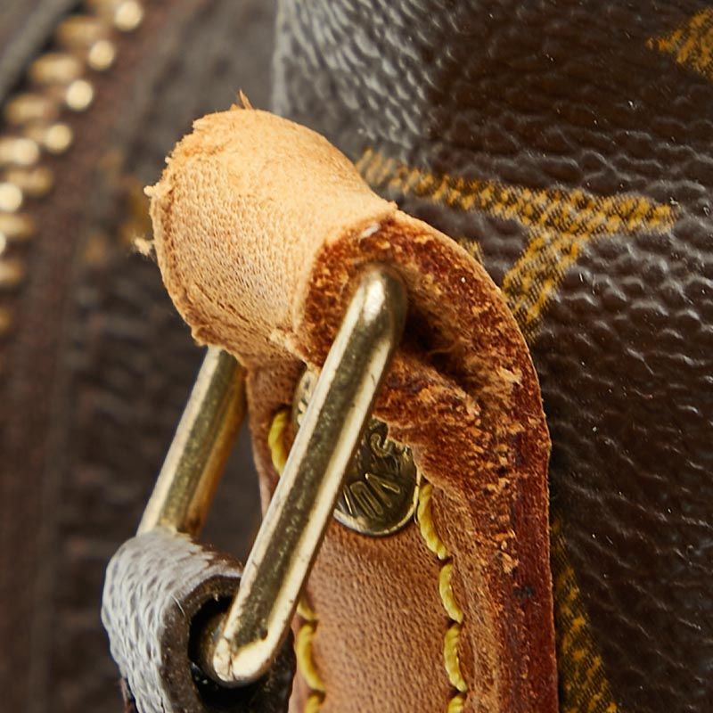 Louis Vuitton Monogram Amazon Crossbody Shoulder Bag Brown Leather — view 5