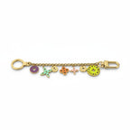 Louis Vuitton B5 Porte Cles Chenne Looping Key Holder Bag Charm Multicolor — view 2