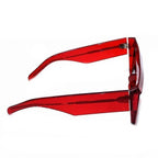 Celine Acetate Red Brown — view 7