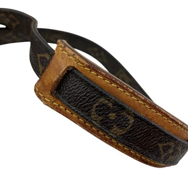 Louis Vuitton Monogram Amazon Shoulder Bag — view 8
