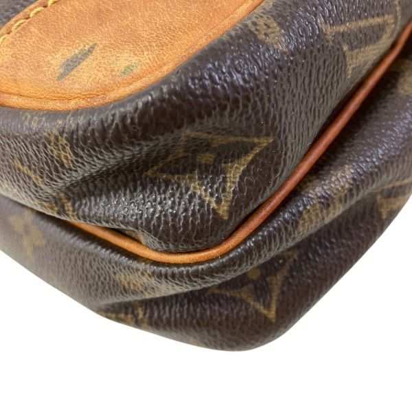 Louis Vuitton Monogram Amazon Shoulder Bag — view 9