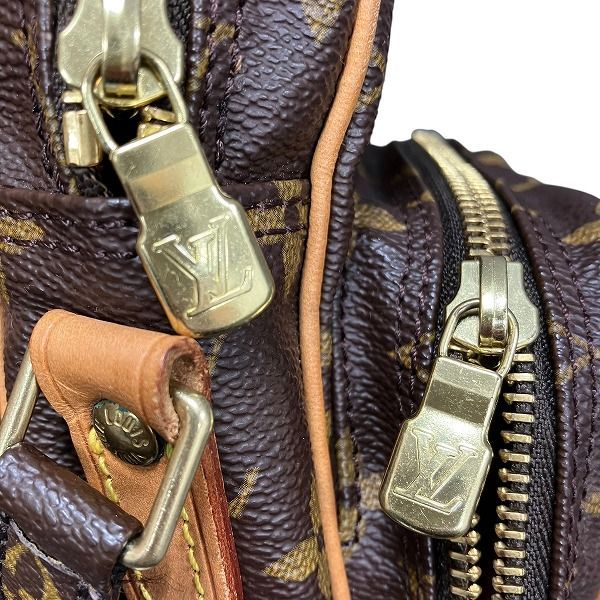 Louis Vuitton Monogram Amazon Shoulder Bag — view 7