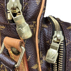 Louis Vuitton Monogram Amazon Shoulder Bag — view 7