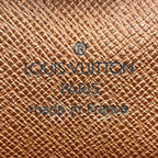Louis Vuitton Monogram Amazon Shoulder Bag — view 4