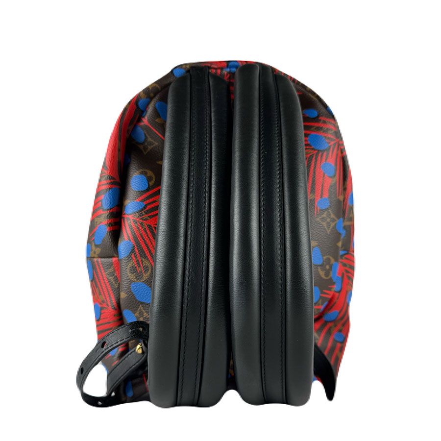 Louis Vuitton Backpack Monogram Jungle Dot Palm Springs PM — view 3