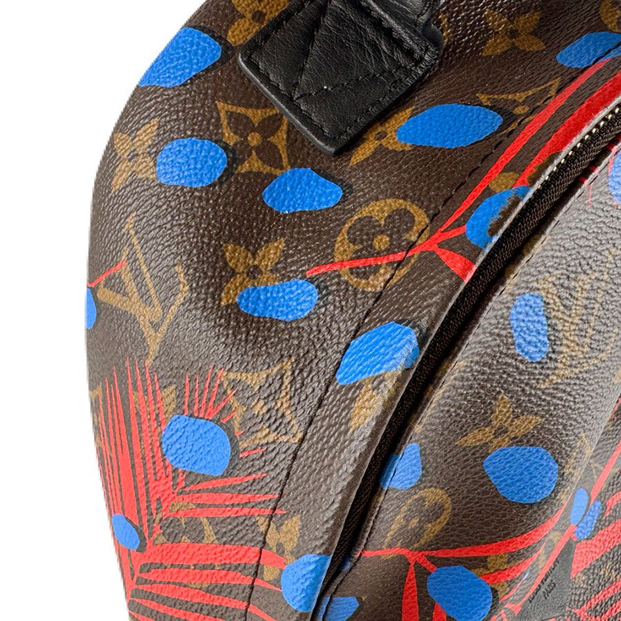 Louis Vuitton Backpack Monogram Jungle Dot Palm Springs PM — view 6