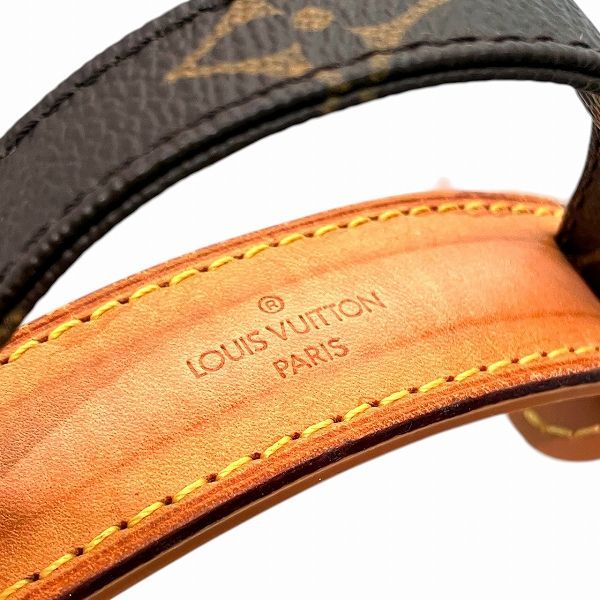 Louis Vuitton Monogram Amazon Shoulder Bag — view 9