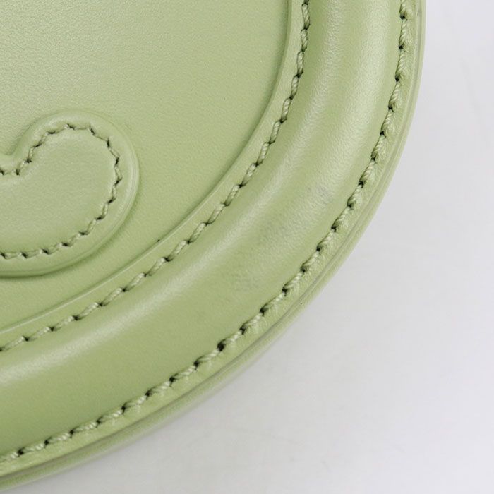 Celine Oval Pass Cuill Triomphe Crossbody Shoulder Bag Leather Green — view 6