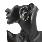 Hermes Earrings Olympe Etoupe Silver Epsom — view 4