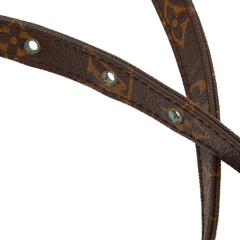 Louis Vuitton Monogram Danube Crossbody Shoulder Bag Brown Leather — view 6