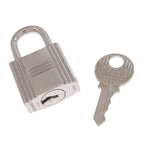 Hermes Picotin Lock MM Silver Handbag — view 8