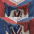 Dior Book Tote French Flag Canvas Blue Red — view 4