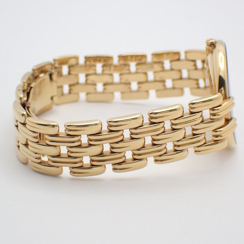 Dior Bagheera Quartz Watch Gold Black Dial Strap