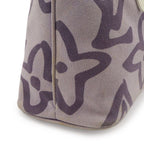 Louis Vuitton Cruise Leather Canvas Lila — view 8