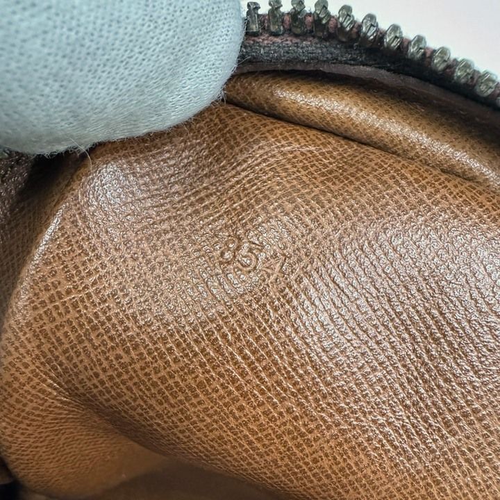 Louis Vuitton Mini Amazon Shoulder Bag Monogram — view 9