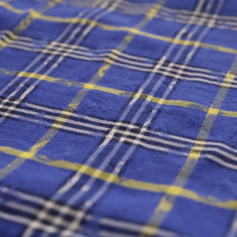 Louis Vuitton Monogram Plaid Shawl Blue