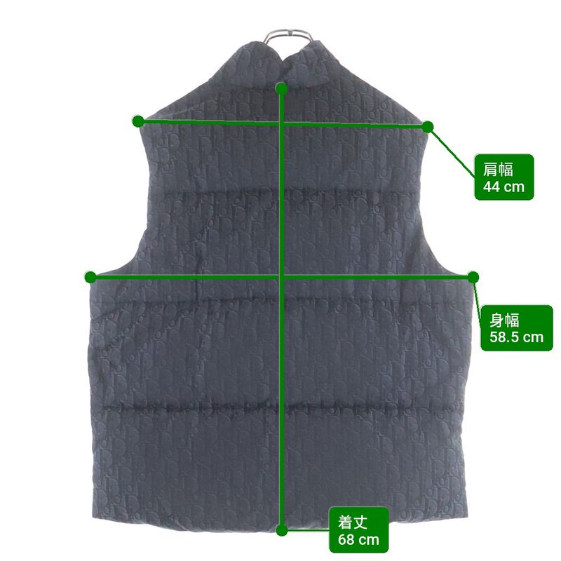 Dior Oak Down Vest Outer Gray
