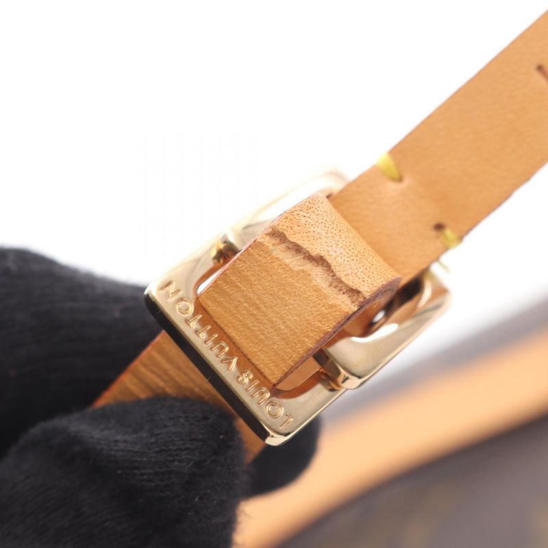 Louis Vuitton Waist Bag Pochette Florentine Canvas