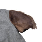 Fendi Coat 38 Stand Collar Fur