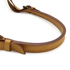 Louis Vuitton Monogram Noe Shoulder Bag