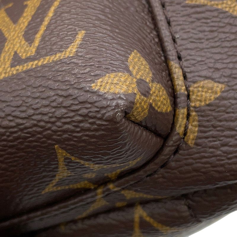 Louis Vuitton Backpack Monogram Palm Spring Mini Noir Black