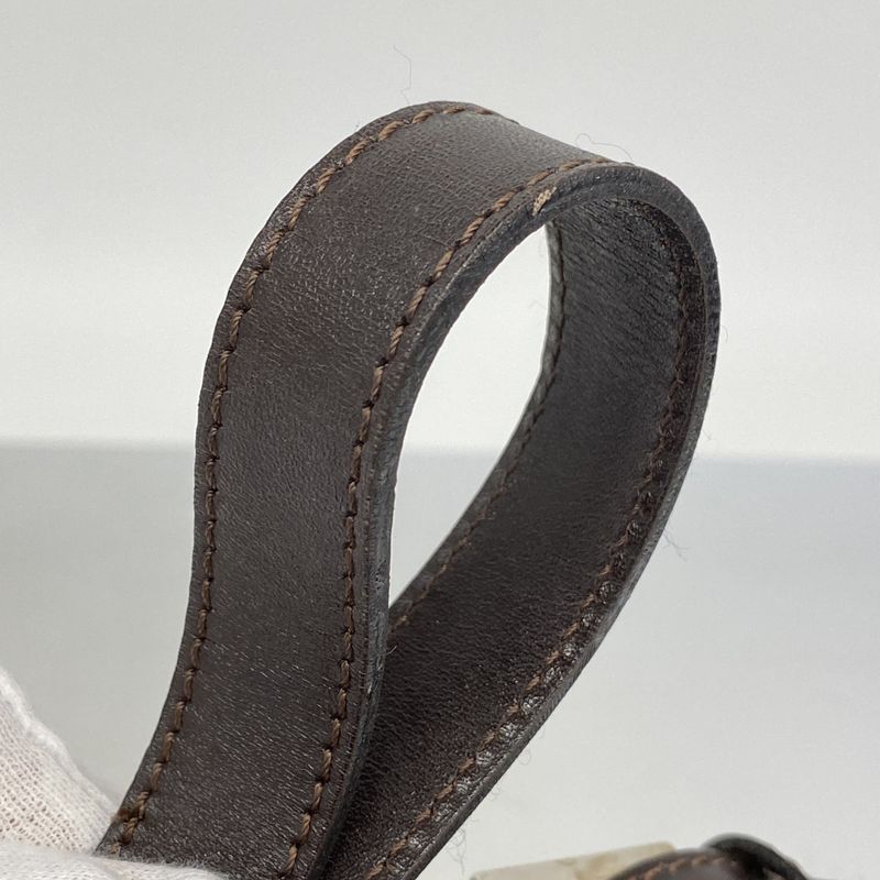 Fendi Handbag Zucca Nylon Canvas Brown Silver