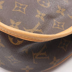 Louis Vuitton Shoulder Bag Menilmontan PM Canvas Leather