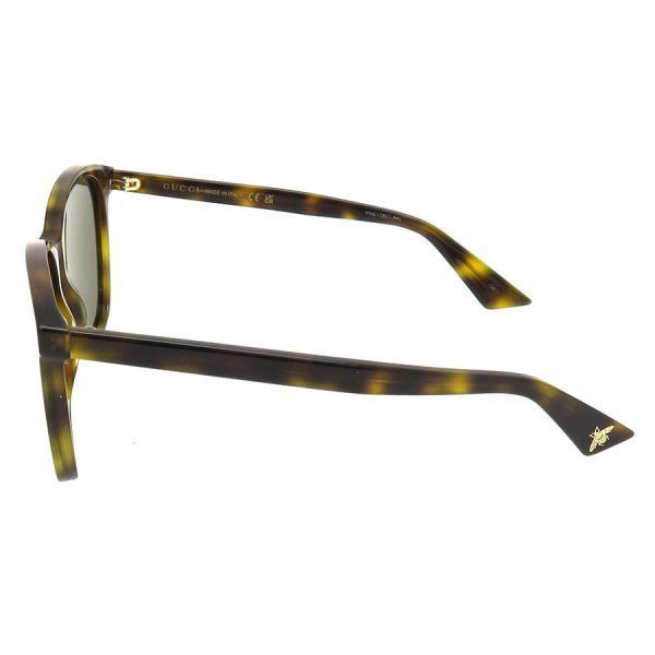 Gucci Brown 58