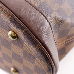 Louis Vuitton Male Damier Canvas Brown Tote