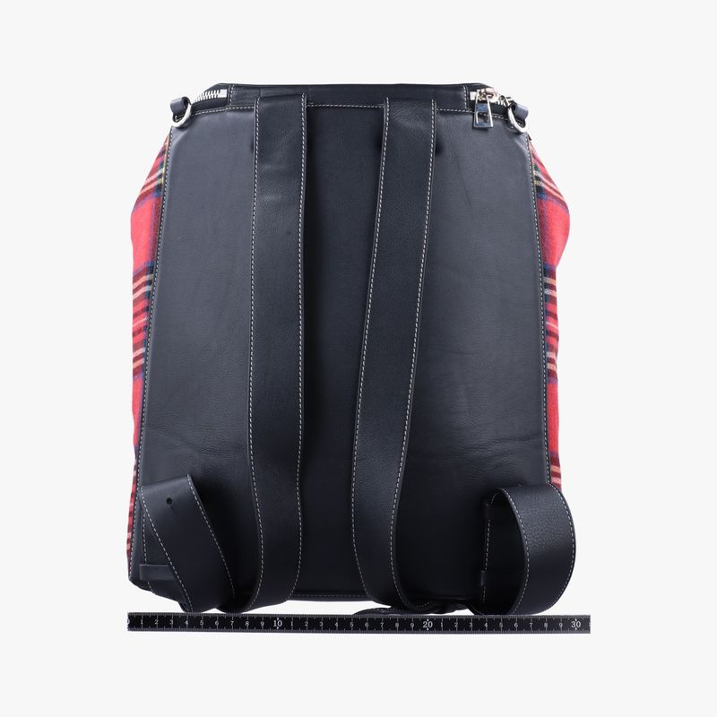 Loewe Goyata Tan Check Red Blank Canvas Leather 59 X Blank